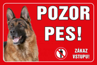MAZLÍKOVÁ cedule - POZOR PES 3