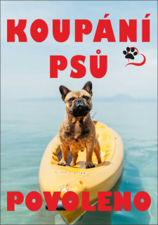 Cedule - koupání psů povoleno 2
