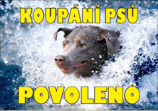 Cedule - koupání psů povoleno 3