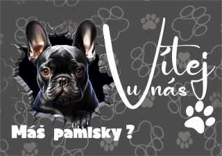 MAZLÍKOVÁ cedule - VÍTEJ U NÁS