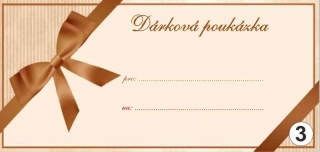 - 3 - dárkový poukaz - voucher - 200 x 95 mm