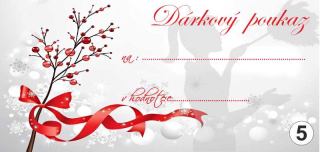 - 5 - dárkový poukaz - voucher - 200 x 95 mm