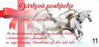 - 11 - dárkový poukaz - voucher - 200 x 95 mm