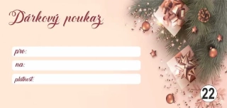 - 22 - dárkový poukaz - voucher - 200 x 95 mm