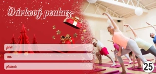 - 25 - dárkový poukaz - voucher - 200 x 95 mm