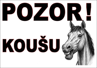 Plastová cedule - POZOR KOUŠU