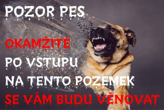 MAZLÍKOVÁ cedule - POZOR PES
