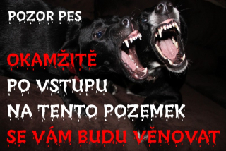 MAZLÍKOVÁ cedule - POZOR PES 2