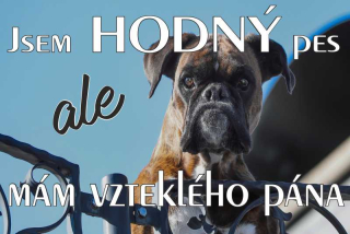 MAZLÍKOVÁ cedule - HODNÝ PES