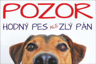 MAZLÍKOVÁ cedule - HODNÝ PES 2